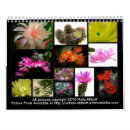 Suche nach kaktus kalender Pflanze