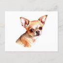 Suche nach chihuahua postkarten Hunde