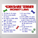 Suche nach yorkshire terrier poster Lustig