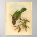 Suche nach katze und vogel poster Vintag