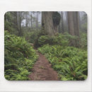 Suche nach moose mousepads Usa