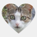 Suche nach tablette aufkleber Katze