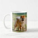 Suche nach chow tassen Hunde