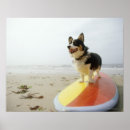 Suche nach surfbrett poster Ferien