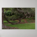 Suche nach eichen poster Moos