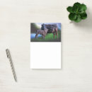 Suche nach kühe post it Jede person