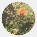 Suche nach blumenblatt aufkleber Jede person