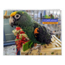 Suche nach vögel kalender Vogel