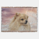 Suche nach pomeranian decken Tier