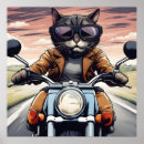 Suche nach clever poster Katze
