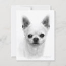 Suche nach realistische postkarten Hundefreund