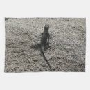 Suche nach schwarze eidechse Jede person
