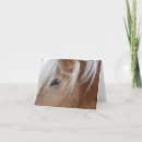 Suche nach haflinger karten Palomino