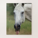 Suche nach lustiges pferd puzzle Natur