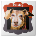 Suche nach dackel fliesen Hunde