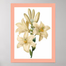 Suche nach vintage flower poster Nature