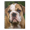 Suche nach englische bulldogge kleine notizbücher Haustier