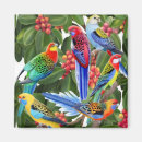 Suche nach adelaide magnete Rosella