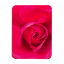 Suche nach romantic magnete Rose