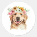 Suche nach golden retriever aufkleber Blumenreich