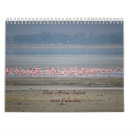 Suche nach safari kalender Wild