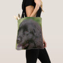 Suche nach hundekunst accessoires Niedlich