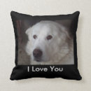 Suche nach pyrenäen kissen Große pyrenäen hund