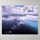 Suche nach antarctica poster Eis