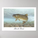 Suche nach trout poster Fisch