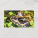 Suche nach amphibien visitenkarten Niedlich