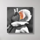 Suche nach pfirsichfarben leinwandbilder Botanisch