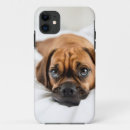Suche nach beagle iphone hüllen Weiß
