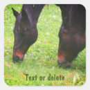 Suche nach weide aufkleber Für sie