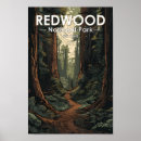 Suche nach redwood poster Rotholzwald
