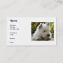 Suche nach weißer terrier Westie