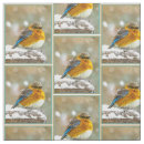 Suche nach singvogel stoffe Vogelvogel