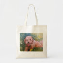 Suche nach cockapoo tote bags Für alle