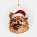 Suche nach an pomeranian ornamente Weihnachten