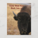 Suche nach south dakota postkarten Staat