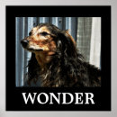 Suche nach wunder poster Inspirierend