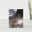 Suche nach wildkatze karten Katzenliebhaber