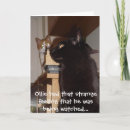 Suche nach funny cat karten Gruselig