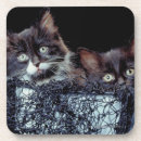 Suche nach eimer untersetzer Studioschuß