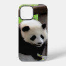 Suche nach panda iphone hüllen Tier
