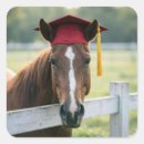 Suche nach rotes pferd aufkleber Jede person
