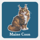 Suche nach maine coon aufkleber Haustier