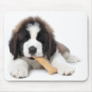 Suche nach bernhardiner hund mousepads Tiere