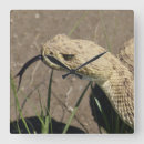 Suche nach reptilien wanduhren Jede person
