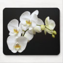 Suche nach schwarze orchidee mousepads Blume
