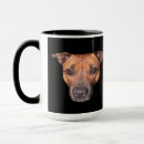 Suche nach staffordshire tassen Bullschrecker